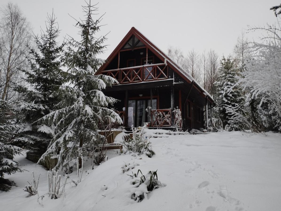 Garden House Nad Jeziorem Szelment Przejma Wielka エクステリア 写真