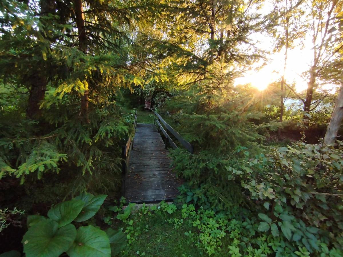 Garden House Nad Jeziorem Szelment Przejma Wielka エクステリア 写真